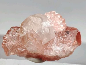 Rhodochrosite Crystal With Apatite Beautiful Cluster And Unique Growth. - Picture 1 of 8