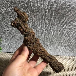 Muestras minerales ásperos estiércol dinosaurio coprolito 287 g g0217 - Imagen 1 de 10