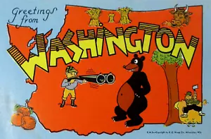 Mappa cartone animato vintage Stato di Washington Seattle Mt St Helens Bill Skacel anni '40 - Foto 1 di 10