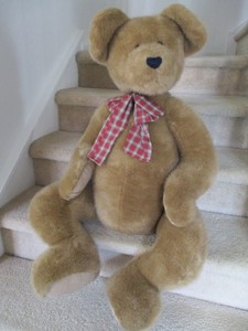 free border collie puppies near me