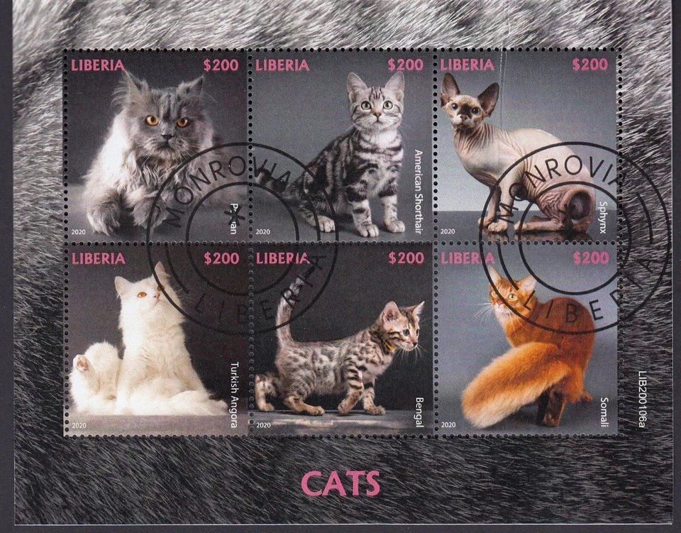 Liberia $1200.00 2020 gatos felinos animales domésticos mascotas hoja miniatura, CTO Foto 1 de 1