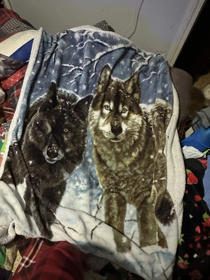 Manta Wolf Foto 1 de 1