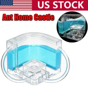 Ant Farm Castle Educational Toys Ant Habitat Ecological Nest Science Learning - Picture 1 of 14