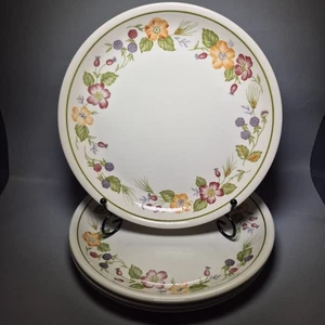 4x Vintage Biltons Woolworths Country Lane Dinner Plates 9½" 24,5cm garden - Picture 1 of 11