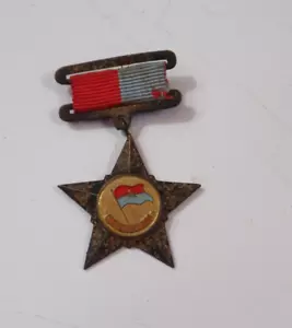 INSIGNIA DE COLECCIÓN FRENTE NACIONAL LIBERACIÓN SUR VN VIETCONG CHIEN SY GIAI PHONG - Imagen 1 de 3