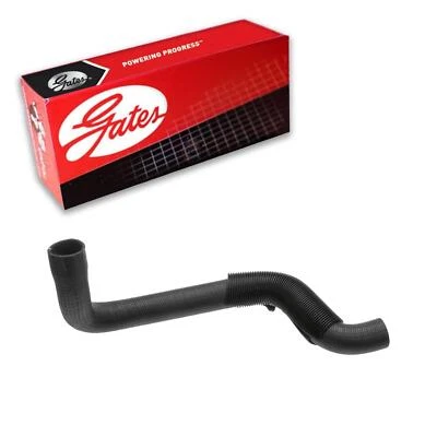 Manguera de refrigerante de radiador Gates inferior para Chevrolet C2500 1988-1993 4,3 L V6 GAS Foto 1 de 3