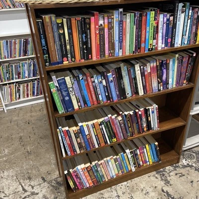 Bulk/Huge Lot of 100 of Children's Kids Chapter Books  - Random - Free Shipping! - Image 1 of 4