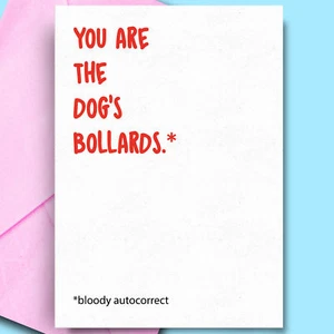 Silly Funny Tarjeta de Buena Suerte para Nuevo Examen de Trabajo Examen de Conducción Mamá Papá Hermana Hermano - Imagen 1 de 3