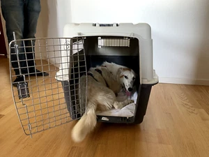Hund Transportbox - Karlie aircraft box Nomad, 81 x 56 x 59 cm, size L - Bild 1 von 2