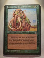 French Mammoth Harness Homelands Light Play MTG Magic DNA GAMES