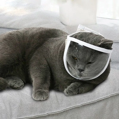  2 Pcs Muzzle for Cats Transparent Cat Muzzle Cat Care Accessories - Image 1 of 4