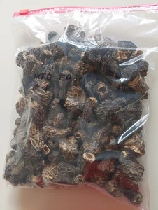 250 g getrocknete Morcheln, black morel, Mailing, Morchella # 1 - Bild 1 von 1