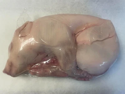 LECHÓN LECHÓN hasta 10 lb USDA 100% Certificado PRODUCTO de España VENDEDOR DE EE. UU. Foto 1 de 4