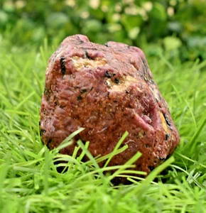 835 CT AAA Quality Natural CERTIFIED Mozambique Ruby Rough Loose Gemstone rough - Picture 1 of 8