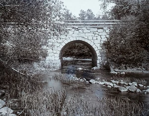 Antique photography glass negative stone bridge Dummer Academy Newbury Mass 1893 - Imagen 1 de 3