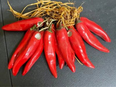 Cadena de chiles de cerámica en una cuerda decoración Foto 1 de 2