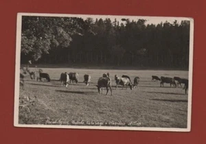 SAINT AGREVE - Pastoreo En Clavières (L5060) - Bild 1 von 1