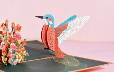 3D 弹出卡 Brithday 卡贺卡 儿童 蜂鸟 个性化 — 第 1/4 张图片