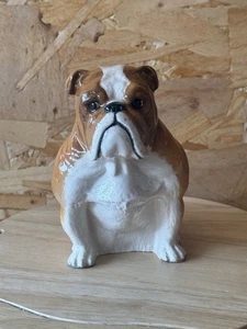 Estatuilla de perro Bulldog de porcelana rara Royal Doulton Special Colourway DA 222 - Imagen 1 de 5