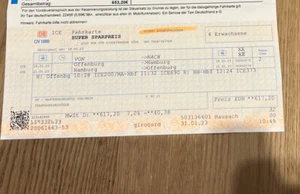 Zugticket von Hamburg nach Offenburg mit Bahncard 25 - Bild 1 von 2