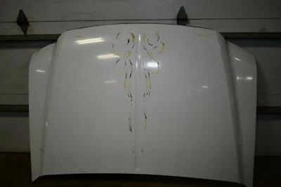99-03 FORD F250 F350 F450 EXCURSION White Hood Bonnet Local Pickup Only Foto 1 de 4