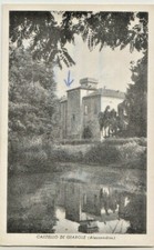 AANNO 1965 Cartolina Castello di Giarole Monferrato FORMATO PICCOLO