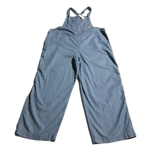 Aerie Womens Overalls Size XL Blue White Striped Y2K Lightweight Jumpsuit Bibs - Picture 1 of 12