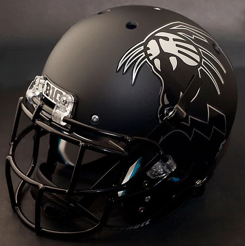 *CUSTOM* NORTHWESTERN WILDCATS Schutt XP Replica Football Helmet / EGOP Facemask Cover