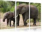 Female Elephant next To Youngster 3-Teiler Canvas Picture Wall Deco Art Print