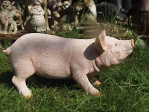 Schwein Ferkel Deko Figur lebensecht wetterfest Gartenfigur NEU - Bild 1 von 7