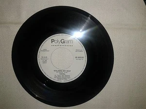 Janet Jackson / Timoria ‎– Disco Vinile 45 Giri 7" Edizione Promo Juke Box  - Imagen 1 de 1