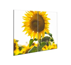 Herdabdeckplatten Set 2x30x52 cm Ceranfeld Abdeckung Glas Spritzschutz Blumen - Bild 1 von 7