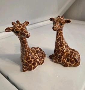 Rainbow Ceramics Cape Town Giraffe Salt and Pepper Shakers South Africa Pottery - Picture 1 of 7