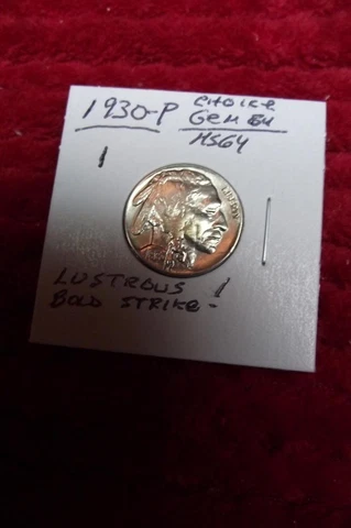 1930-P Buffalo Nickel, LUSTROUS (PREMIUM GEM BRILLIANT UNCIRCULATED) $89.95 #1 Cover