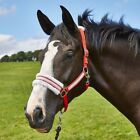 Elico Christmas Headcollar for Horses