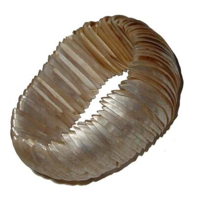 Perlmutt Armband Champagnerfarbig Edelstein elastisch - Bild 1 von 2