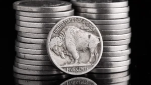 20x Buffalo Nickels Half Roll P D S 1913-1938 Indian 5 Cent AG-AU US Type Mi - Picture 1 of 9