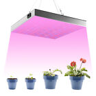 5000W LED Grow Lights Full Spectrum for Indoor Plant Veg Flower Bloom Lamp Panel