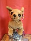 Rare Ty Beanie Baby Tiny The Chihuahua Misspelled Hang Tag Exc Condition
