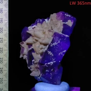 Fluorescent Fluorite crystal cluster w/ Dogtooth Calcite long wave mineral 745ct - Picture 1 of 8