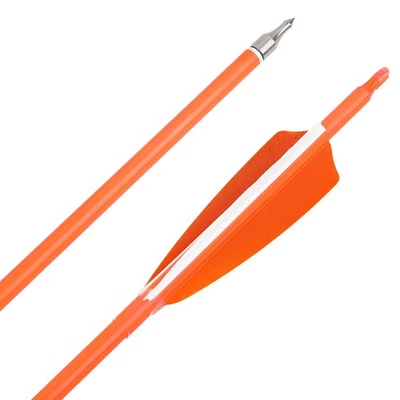 Archery Carbon Arrows 30" SP500 600 Feathers Recurve Compound Bow Target Hunting - Image 1 of 4