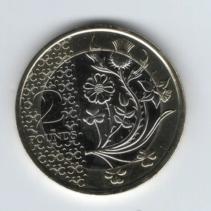 Moneda de 2 libras 2023 flores de las cuatro naciones BU - marca privada corona - Imagen 1 de 1