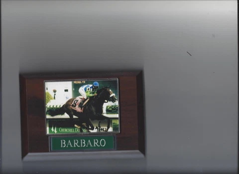 BARBARO PLAQUE HORSE RACING TURF ACTION Cover
