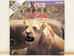 True Life Adventure: The African Lion 1955 Laserdisc LD Wisney SF078-0086 W/ Obi - Picture 1 of 4