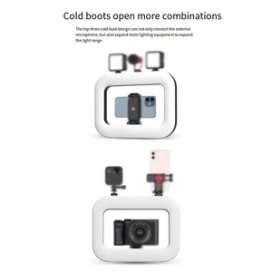Portable Adjustable Fill For light for Smartphone Photography and Videography - Picture 1 of 12