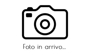 SOLDI CALDI di Artie Mandelberg VIDEOCASSETTA - Foto 1 di 3