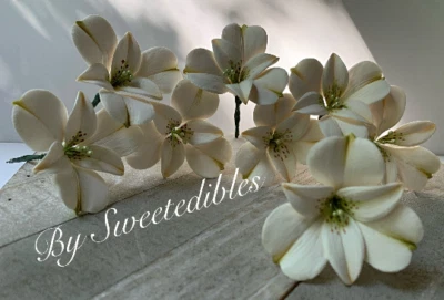 Pasta de goma blanca fondant flor de alstroemeria Foto 1 de 2