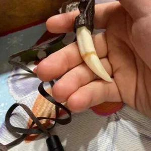 3 ITEMS  CROCODILE SKIN AND TEETH HAT BAND ,NECKLACE, Bracelet AUSTRALIAN MADE - Picture 1 of 7