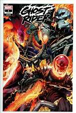 Ghost Rider Vol 9 1 Stegman Variant Marvel