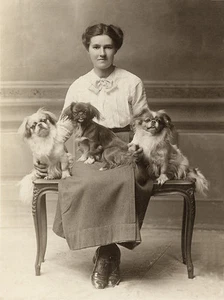 TIBETAN SPANIEL CHARMING DOG GREETINGS NOTE CARD LADY AND DOGS - Picture 1 of 1